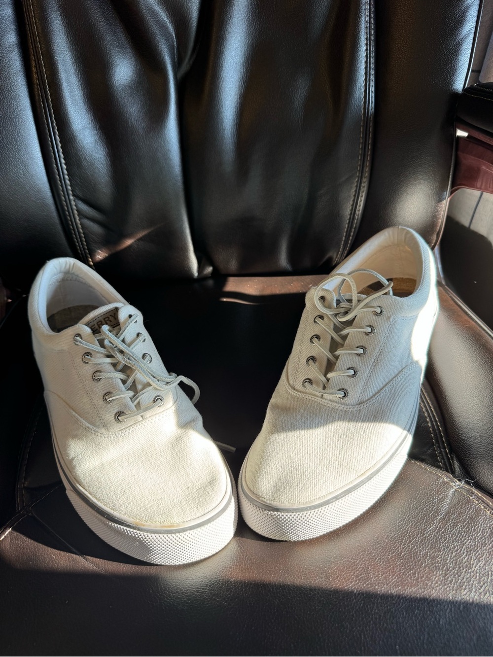 Sperry CVO Canvas Sneaker (White / Size 13)